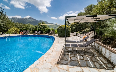 Shaded areas by the swimming pool